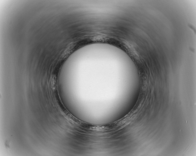 X0000094450273200711081054