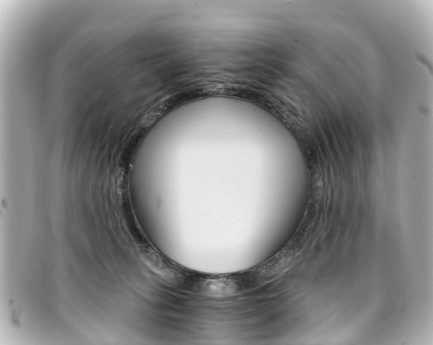 X0000094450275200711081054