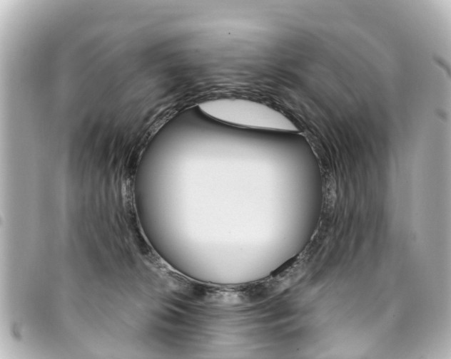 X0000094450276200711081054