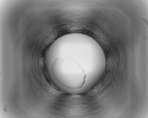 X0000094450278200711081054