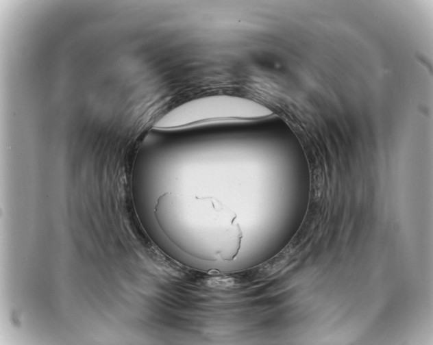 X0000094450279200711081054