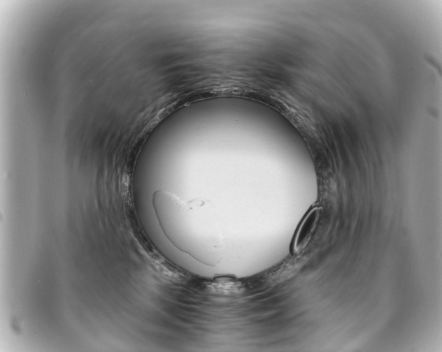 X0000094450281200711081054