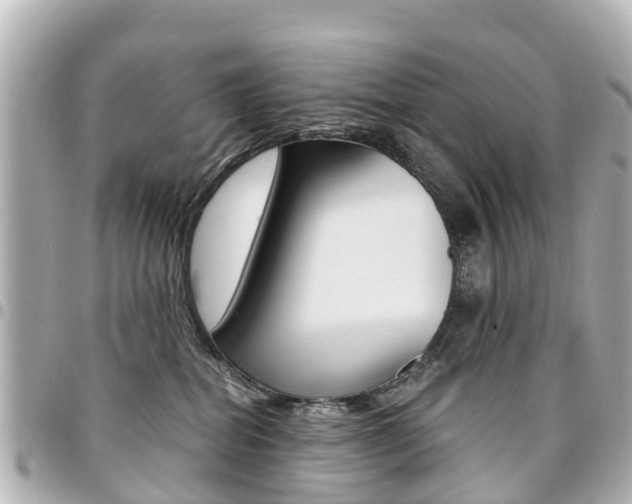 X0000094450282200711081054