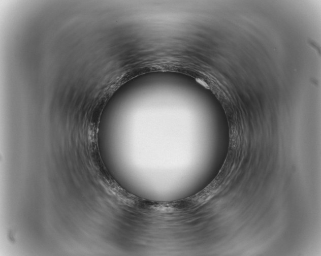 X0000094450284200711081054