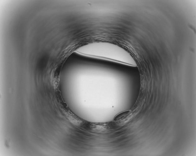 X0000094450285200711081054
