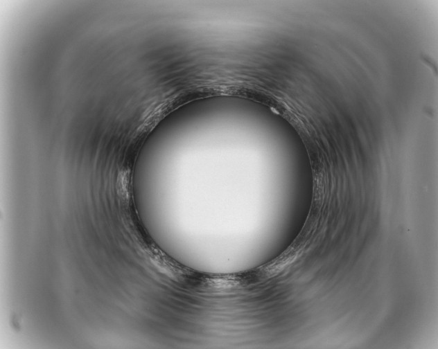 X0000094450286200711081054