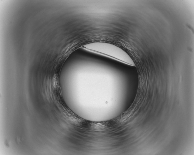 X0000094450287200711081054