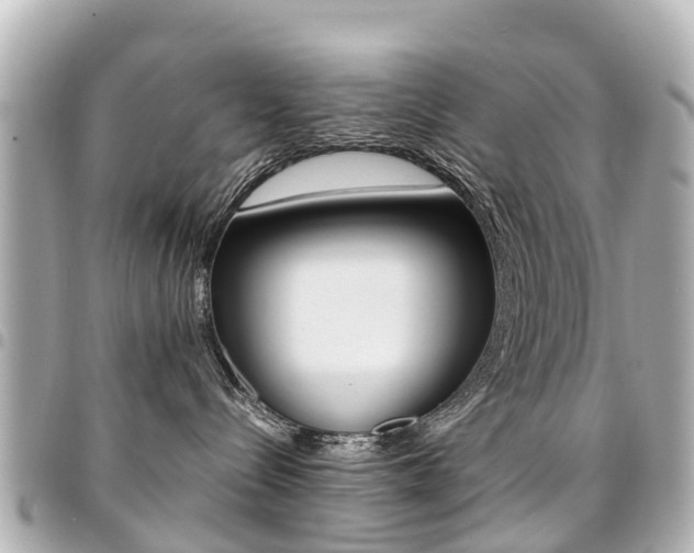 X0000094450288200711081054