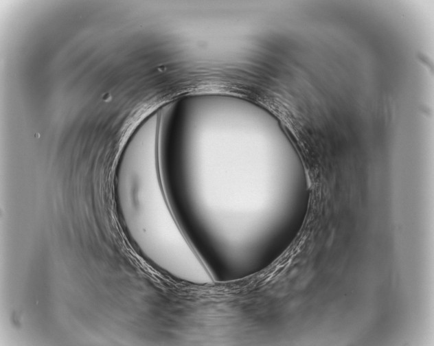 X0000094450289200711081054