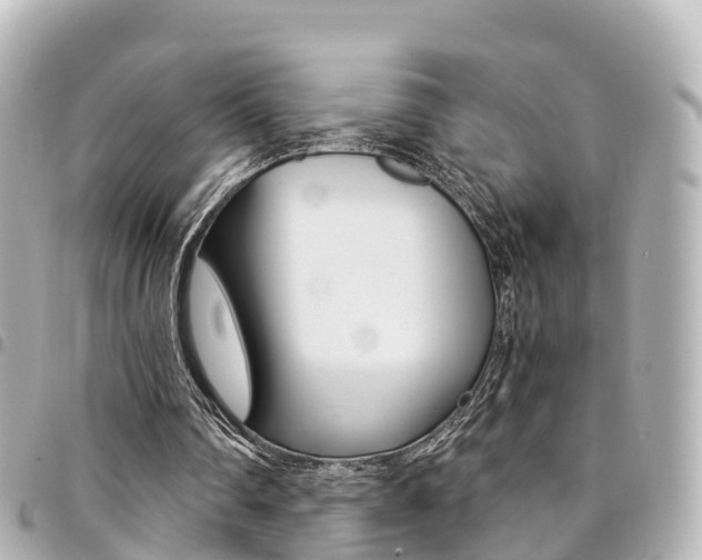X0000094450290200711081054