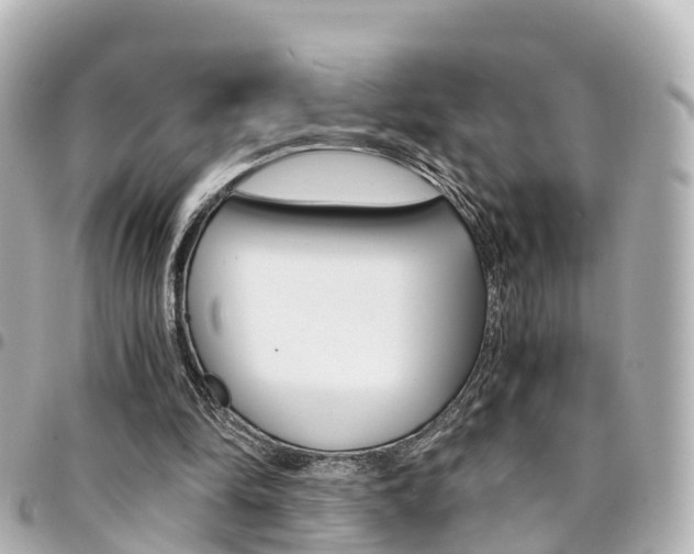X0000094450294200711081053