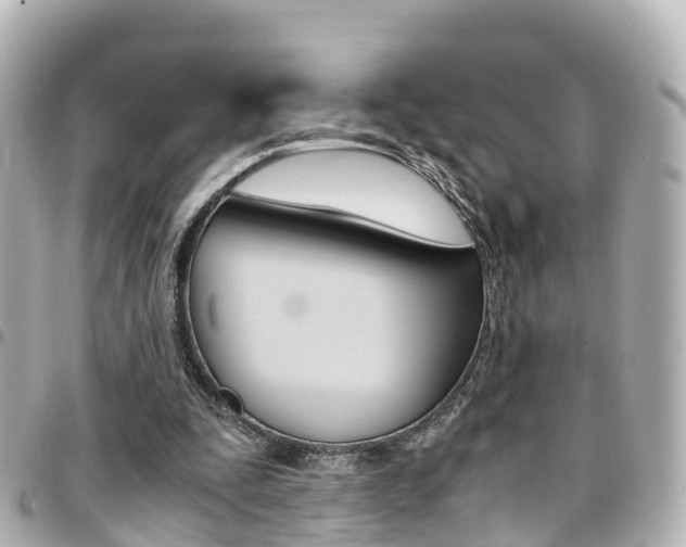 X0000094450295200711081053
