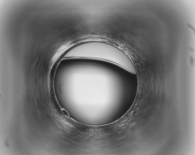 X0000094450296200711081053