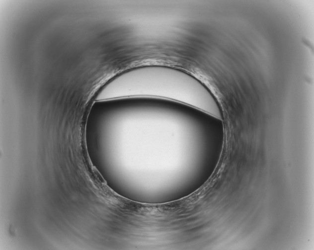 X0000094450297200711081053