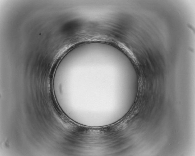 X0000094450298200711081053