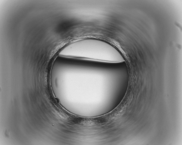 X0000094450299200711081053