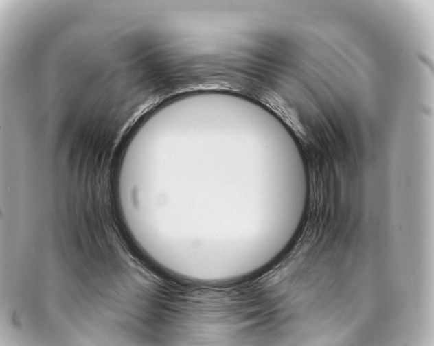 X0000094450300200711081053