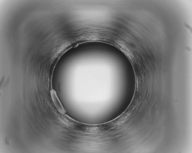 X0000094450301200711081053