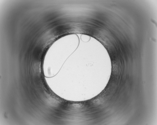 X0000094450302200711081053