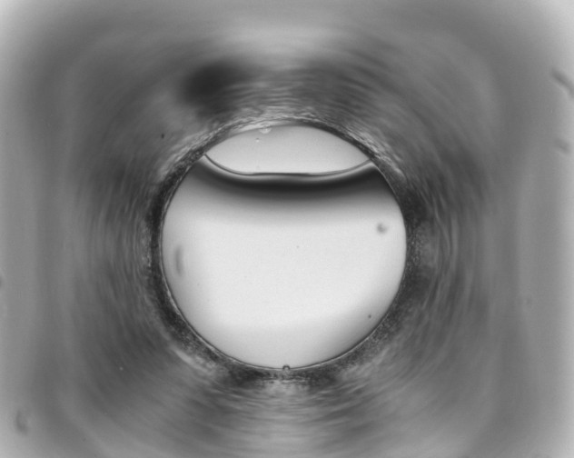 X0000094450303200711081053