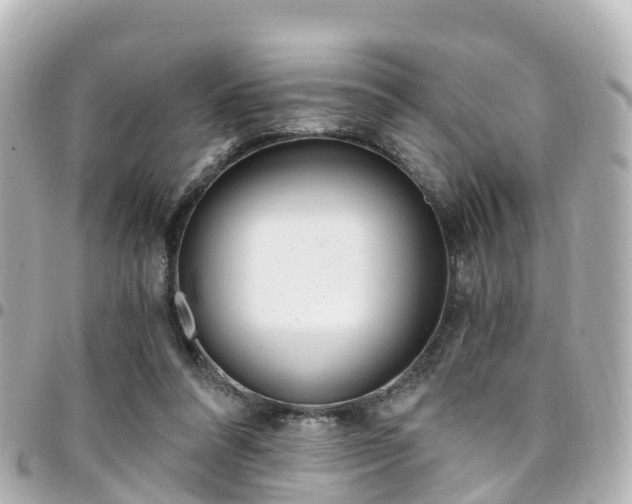 X0000094450304200711081053