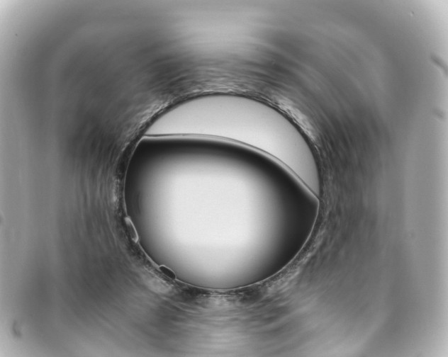 X0000094450305200711081053