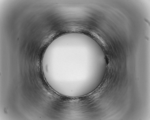 X0000094450306200711081053