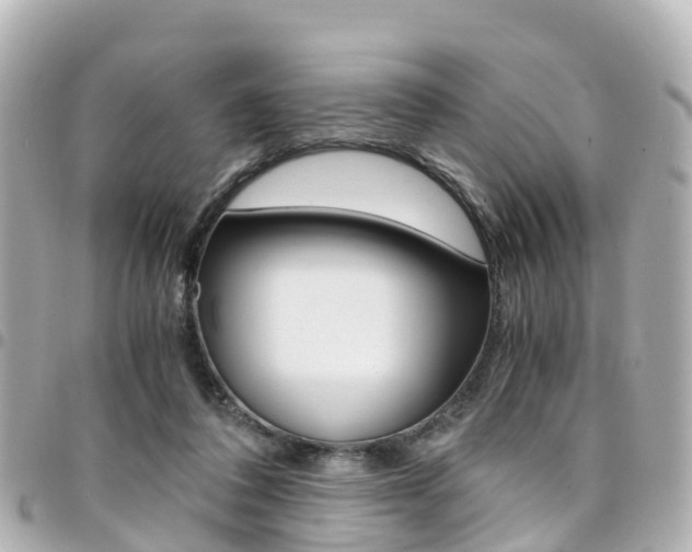 X0000094450308200711081053