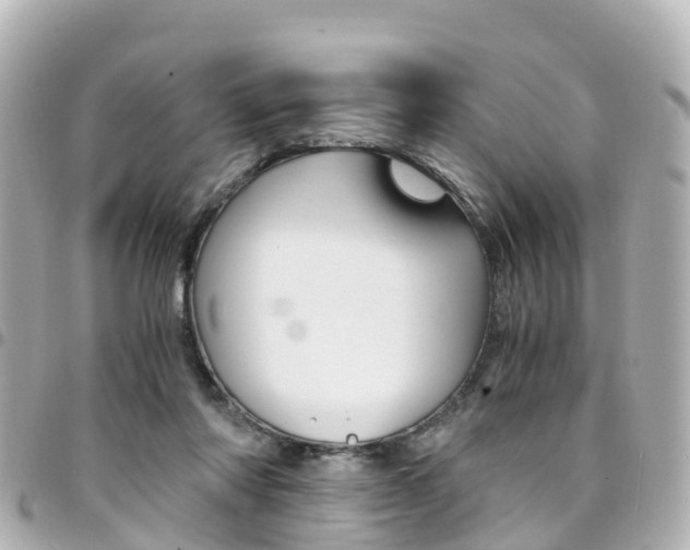 X0000094450310200711081053