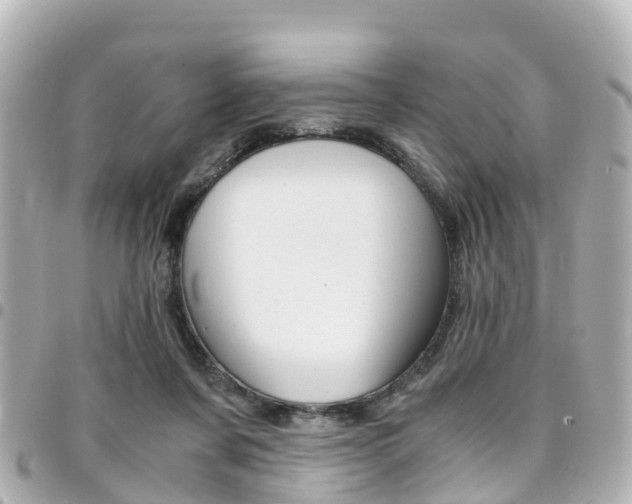 X0000094450311200711081053