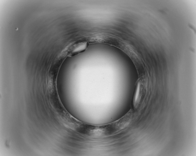 X0000094450312200711081053