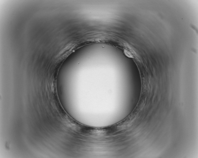 X0000094450313200711081053