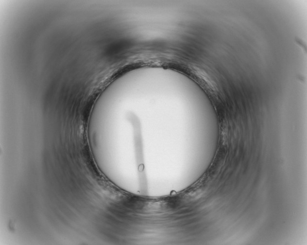 X0000094450314200711081053