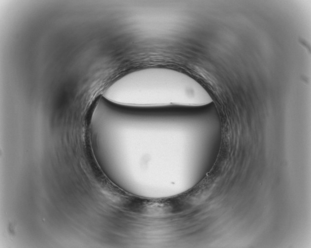 X0000094450315200711081053