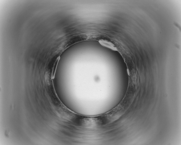 X0000094450316200711081053