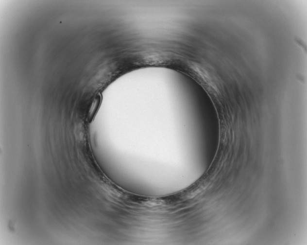 X0000094450317200711081053