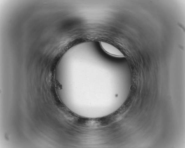 X0000094450319200711081053