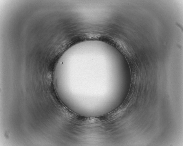 X0000094450321200711081053