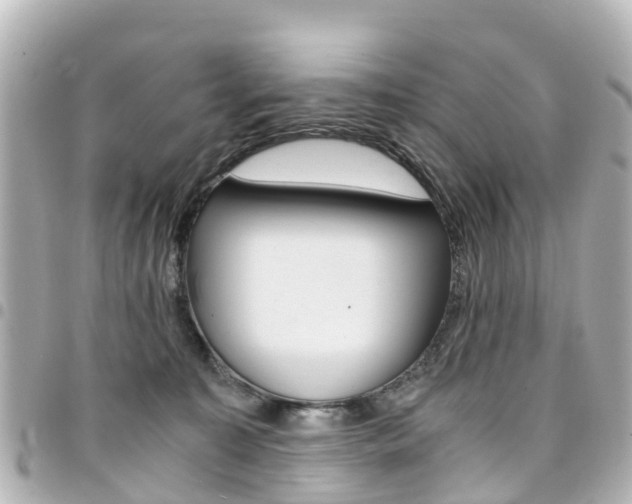 X0000094450323200711081053