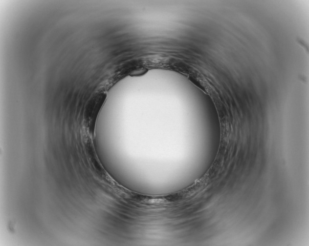X0000094450324200711081053