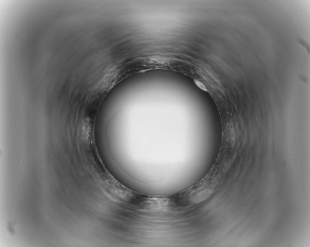 X0000094450328200711081053