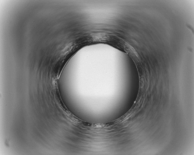 X0000094450329200711081053
