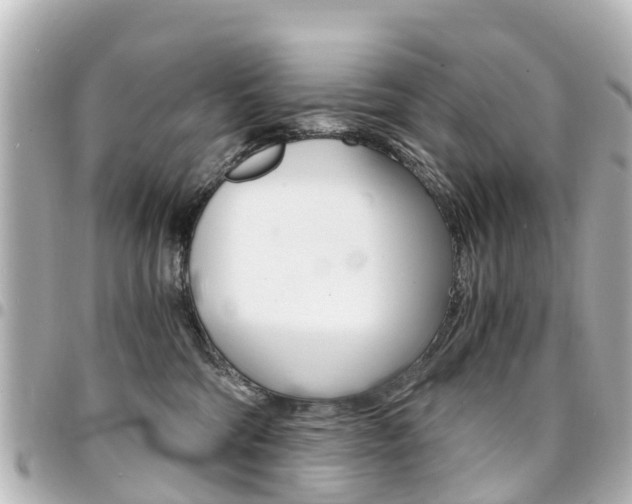 X0000094450330200711081053