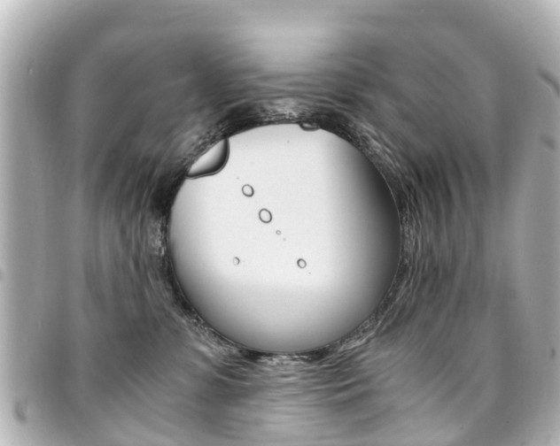 X0000094450331200711081053
