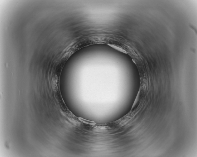 X0000094450332200711081053