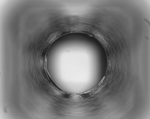 X0000094450333200711081053