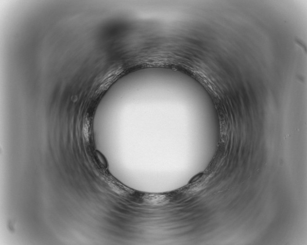 X0000094450334200711081053