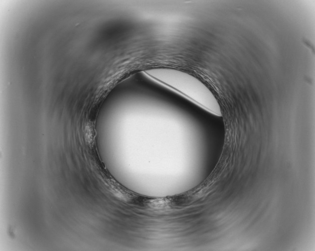 X0000094450335200711081053