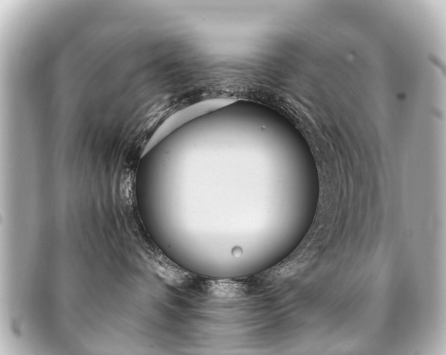 X0000094450336200711081053