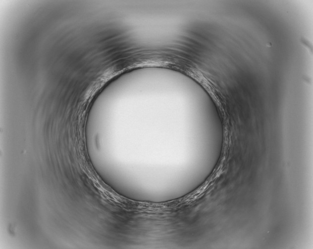 X0000094450337200711081052